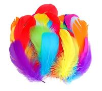 SSKHE Feather for Crafts, 300 Pcs Coloured Feathers Natural Goose Feathers for DIY Crafts Dream Catcher Earrings Headdress Feather Flowers Wedding Party Holiday Decoration
