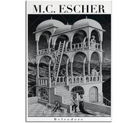 SSLDP LFHLI Famous M.C. Escher Poster Surrealism Wall Art Vintage Artwork M.C. Escher Canvas Painting And Prints Home Decor Picture 50x70cm No Frame