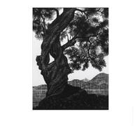 SSLDP LFHLI M.C. Escher Poster Surrealism Vintage Canvas Wall Art M.C. Escher Painting And Prints Modern Home Living Room Decor Picture 40x60cm No Frame