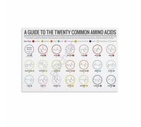 SSOPTMCB Biochemistry Poster Set of 1 Central Dogma Genetic Code Chart Canvas Art for Student(Framed,12x18inch(30x45cm))