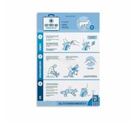 SSOPTMCB Cat Emergency Response Steps Poster Canvas Wall Decor Pet First Aid Chart for Cat Lover Living Room Study Room Hallway(Unframed,08x12inch(20x30cm))