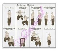 SSOPTMCB Chinese Baduanjin Poster Eight Brocades Routine Daily Health Wellness Exercise Chart Wall-Art for Yoga Studio(Unframed,12x18inch(30x45cm))