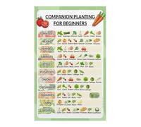 SSOPTMCB Companion Planting Guide Poster Visual Chart for Vegetable Herb Garden Raised Beds Canvas Wall-Art for Gardener(Unframed,12x18inch(30x45cm))