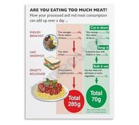 SSOPTMCB Dietary Balance Poster Healthy Eating Guide on Meat Consumption Canvas Wall-Art for Kitchen Study Room Decor(Unframed,08x12inch(20x30cm))