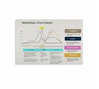 SSOPTMCB Female Health Infographic Menstrual Cycle Phases Hormones Educational Poster Canvas Wall-Art for Clinic Classroom Gift(Framed,16x24inch(40x60cm))