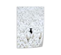 SSOPTMCB Individuality Sheep Canvas Print, Black and White Contrast Animal Art, Modern Wall Poster for Office Decor, Living Room and Bedroom Aesthetic(Unframed,12x18inch(30x45cm))