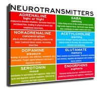 SSOPTMCB Modern Canvas Print Neurotransmitter System Infographic Scientific Wall-Art Knowledge Poster Decoration for Home Office Dorm Room Aesthetic(Unframed,16x24inch(40x60cm))