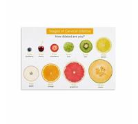 SSOPTMCB Pregnancy and Birth Education Poster Stages of Cervical Dilation in Labour Modern Print for Home Study Room Doula Gift Idea(Unframed,16x24inch(40x60cm))