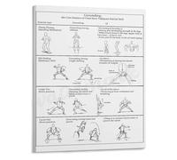 SSOPTMCB Traditional Chen Style Poster Martial Art Fundamentals and Theory Canvas Art Print for Disciples and Serious Students(Framed,16x24inch(40x60cm))