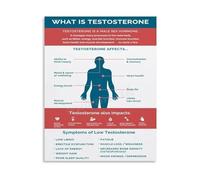 SSOPTMCB What Is Testosterone Informative Canvas Painting Wall-Art Poster Science Education Decor for Bedroom Living Room Home Office(Framed,12x18inch(30x45cm))