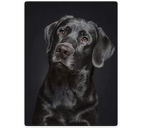SSWM Dog Blanket,Gorgeous Labrador Stunning Photo,Soft Fluffy Fleece Throw 40"x50",Black