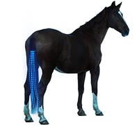 SSZYace Horse Equipment Riding Tail Trappings Equestrian LED Flashing Light Bar Harness Outdoor Sports USB Charge Riding Decorations (Blue)
