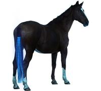 SSZYace Horse Equipment Riding Tail Trappings Equestrian LED Flashing Light Bar Harness Outdoor Sports USB Charge Riding Decorations (Blue)