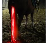 SSZYace Horse Equipment Riding Tail Trappings Equestrian LED Flashing Light Bar Harness Outdoor Sports USB Charge Riding Decorations (Red)