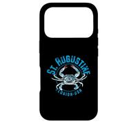St. Augustine Florida Blue Crab Design Case for iPhone 17 Pro