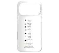 St. Benedict Prayer schedule in a day - Monastic life Case for iPhone 17 Pro Max