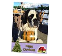 St Bernard Dog Christmas Card 'Happy Christmas' - Special Animal Xmas Card for Him Her from Pets Kids