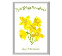 St David’s Day Cards - Dydd Gŵyl Dewi Hapus - Bilingual - English and Welsh Language - Blank inside to write your own message - Happy Wishes - Wales Keepsake - 1st March