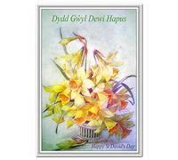 St David’s Day Cards - Dydd Gŵyl Dewi Hapus - Bilingual - English and Welsh Language - Blank inside to write your own message - Happy Wishes - Wales Keepsake - 1st March