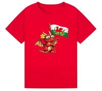 St David’s Day T-Shirt - Welsh Dragon Flag Graphic Tee L affodils Shirts, Wales Celebration Wear for Men & Women