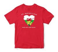 St Davids Day Heart Kids T Shirt Dydd G?yl Dewi Hapus Welsh Dragon Tee Boys Girls Cymru Wales Top, 2-3 Years, Red
