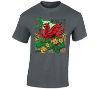 St Davids Day Mens T-Shirt Welsh Flag Dragon Fusion Daffodil Wales Festival Fancy Dress Costume Boys Kids Girls Unisex Gift Tshirt Charcoal - Small