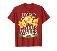 St Davids Day Outfit For Kids & Welsh Flag With Daffodils T-Shirt