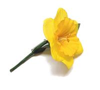 St Davids Day Traditional Welsh Lady Costume - Daffodil Lapel Badge