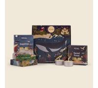 St Eval | Christmas Tealight Discovery Gift Set | Four Festive Candle Fragrances | Made in Cornwall | Ideal for Christmas