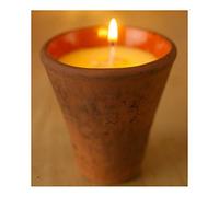 St Eval Victorian Herb Pot Candle - Bergamot & Nettle Small