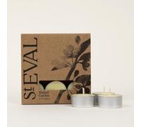 St Eval | Walled Garden Scented Tealights | Refreshing