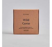St Eval Wild Gorse Scented Tea Lights