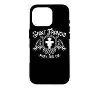 St Francis of Assisi Patron Saint Animals Birds San Damiano Case for iPhone 16 Pro
