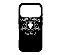 St Francis of Assisi Patron Saint Animals Birds San Damiano Case for iPhone 17 Pro