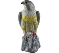 St Helens Decoy Eagle Pest Deterrent