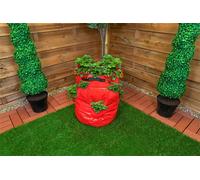 St Helens Home and Garden Strawberry Grow Bag 43L