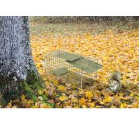 St Helens Home & Garden Home And Garden Live Animal Trap