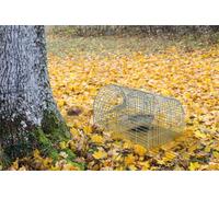 St Helens Home & Garden Home And Garden Multi Catch Live Animal Trap Humane
