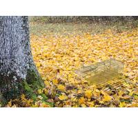 St Helens Home & Garden Live Animal Trap, Rodents Humane & Easy Release