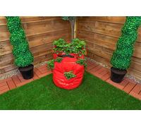 St Helens Home & Garden Strawberry Grow Bag 43L in Red St Helens Red