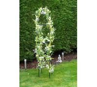 St Helens Standing Garden Obelisk 2M in Black St Helens Black