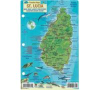 St. Lucia Dive Map & Reef Creatures Guide Franko Maps Laminated Fish Card