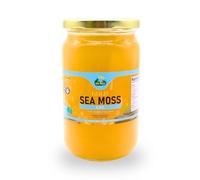 St Lucia Sea Moss Gel - Wildcrafted Caribbean Sea Moss - 100% Natural Vegan Superfood - No Additives & Preservatives - Gluten-Free, Non-GMO - Rich in 92 Minerals for Energy & Skin Health - 720ml