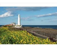 St. Marys Lighthouse Print, Whitley Bay, Northumbria - Print 10"x8" (25x20cm) (12989035)