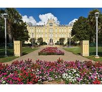 St. Mary's University