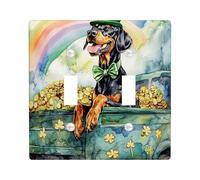 St.Patrick's Day Doberman Dog Decorative Light Switch Cover Wall Plate 2 Gang Double Toggle, Farmhouse Truck Puppy Electrical Switchplate, Rainbow Electrical Faceplate for Bedroom