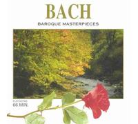 St.Petersburger Ko - Baroque Masterpieces