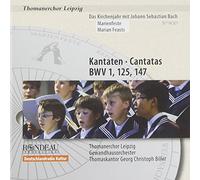 St. Thomas's Boys Choir Leipzig - Bach: Cantatas For Marian Feasts
