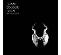 St.Werner, Jan (Mouse on Mars) - Blaze Colour Burn [VINYL]