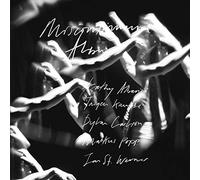 St.Werner, Jan (Mouse on Mars) - Miscontinuum Album (Fiepblatter Catalogue #3) [Bonus Tracks Edition] [VINYL]